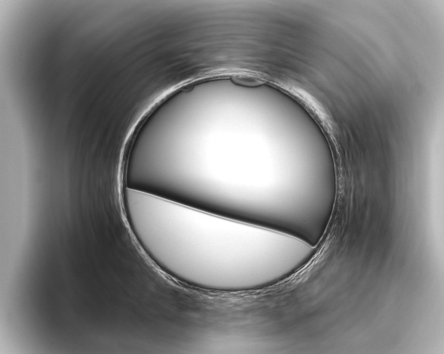 X0000096420910200801241001