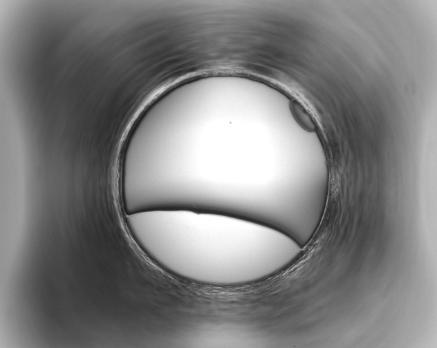 X0000096420911200801241001