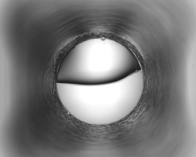 X0000096420919200801241000