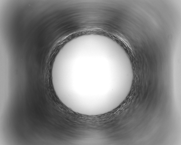 X0000096420920200801241000