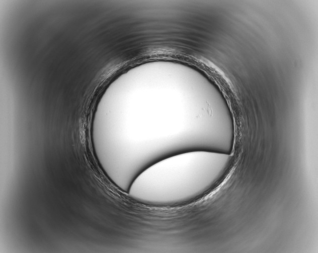 X0000096420921200801241000