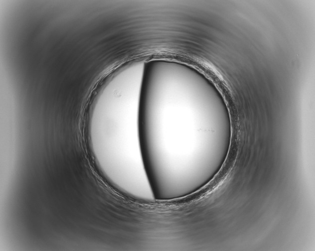 X0000096420922200801241000