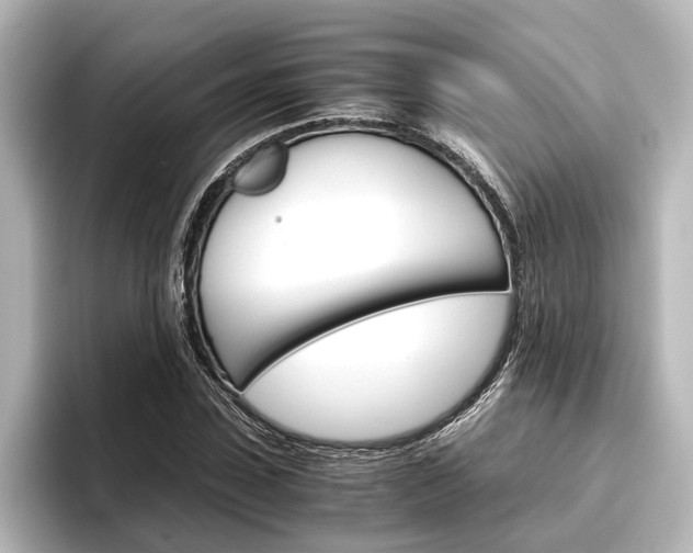X0000096420923200801241000