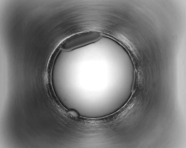 X0000096420924200801241000