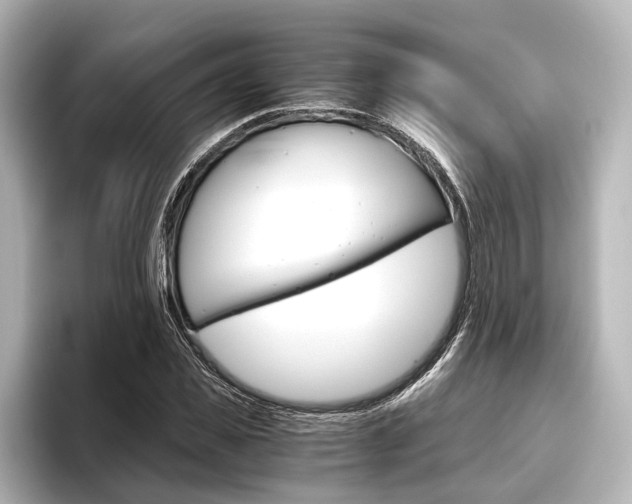 X0000096420925200801241000