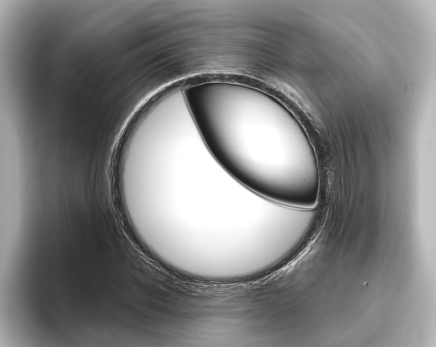 X0000096420926200801241000