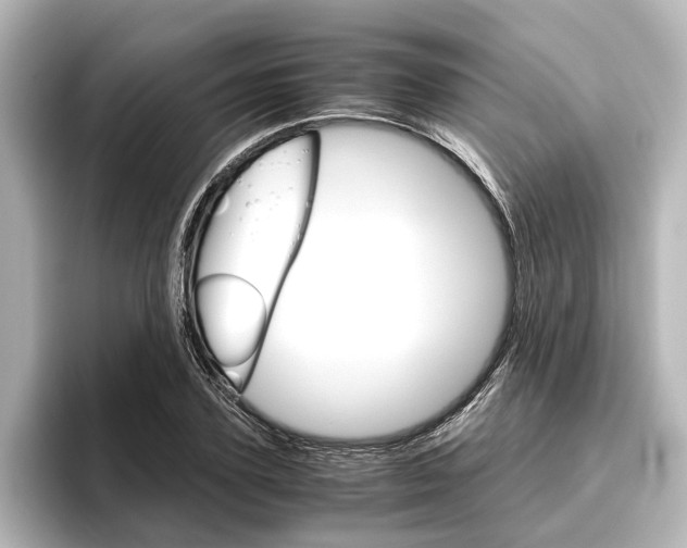 X0000096420931200801241000