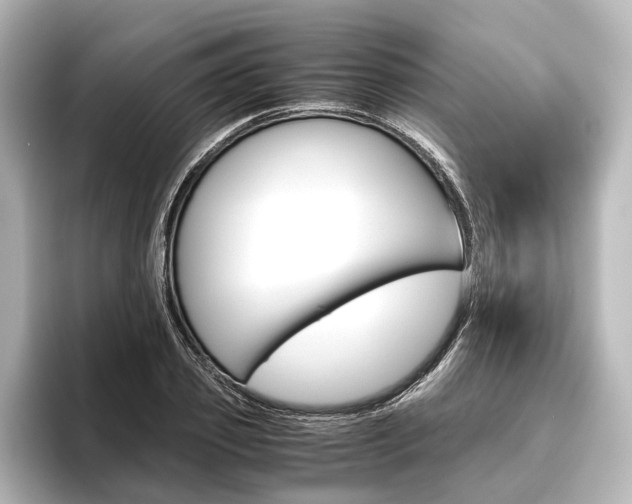 X0000096420933200801241000