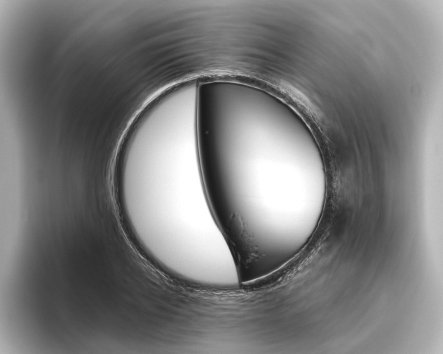 X0000096420934200801241000