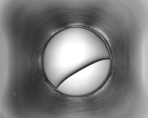 X0000096420937200801241000