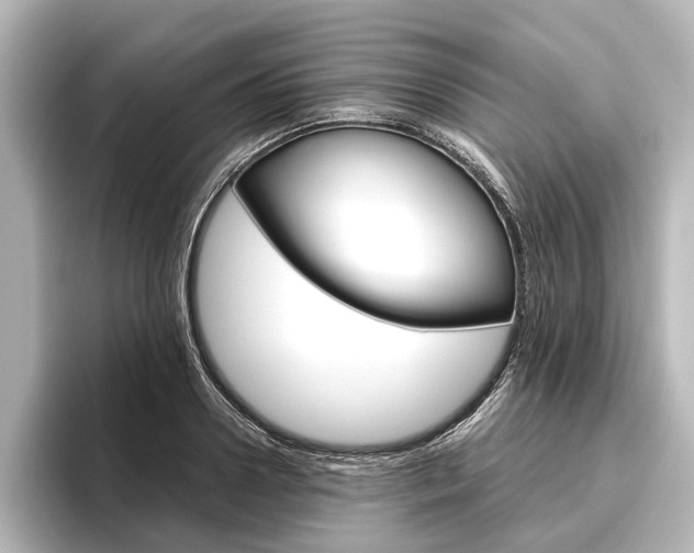 X0000096420938200801241000