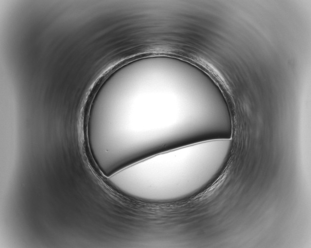X0000096420939200801241000