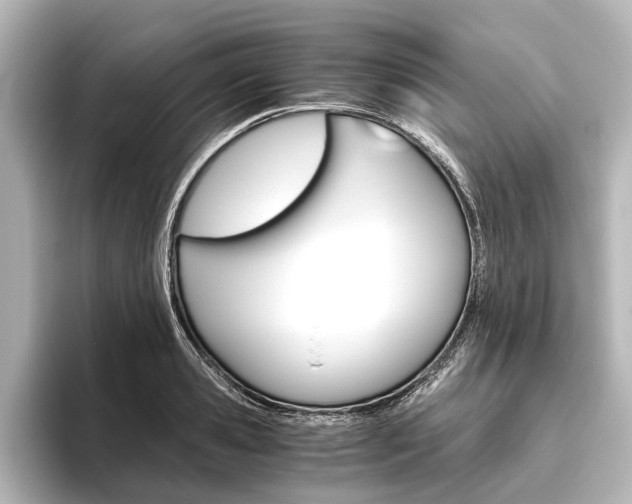 X0000096420941200801241001