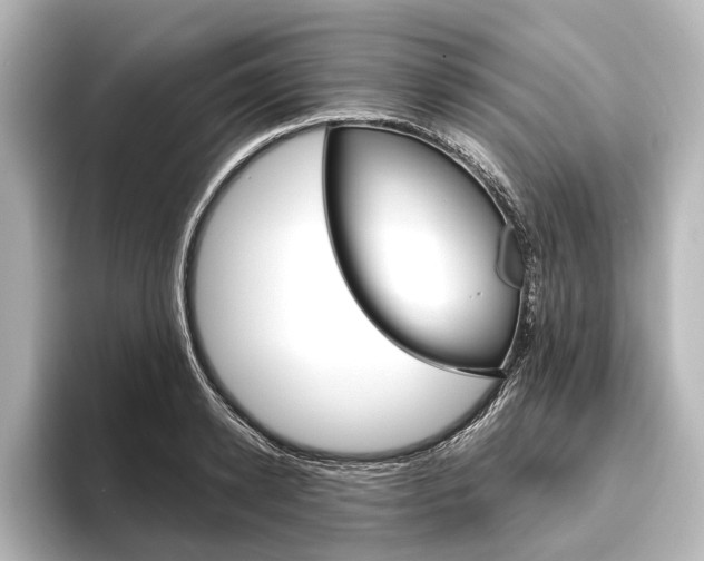 X0000096420942200801241001