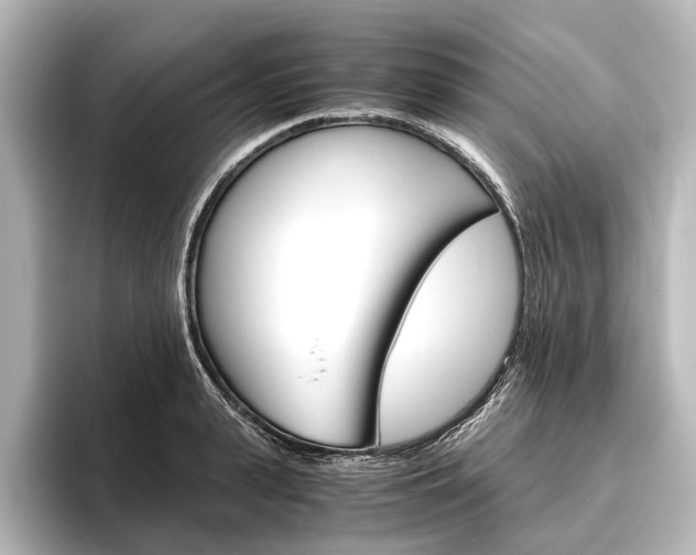X0000096420943200801241001