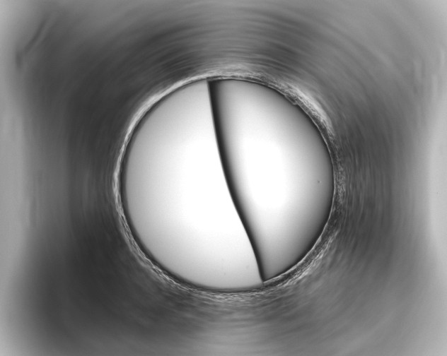 X0000096420944200801241001