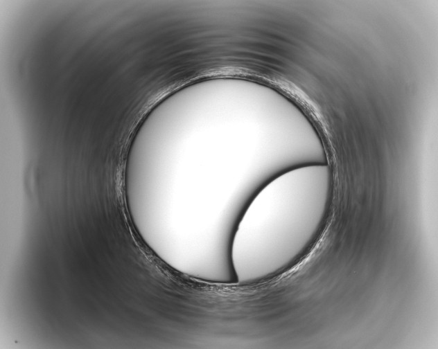 X0000096420945200801241001