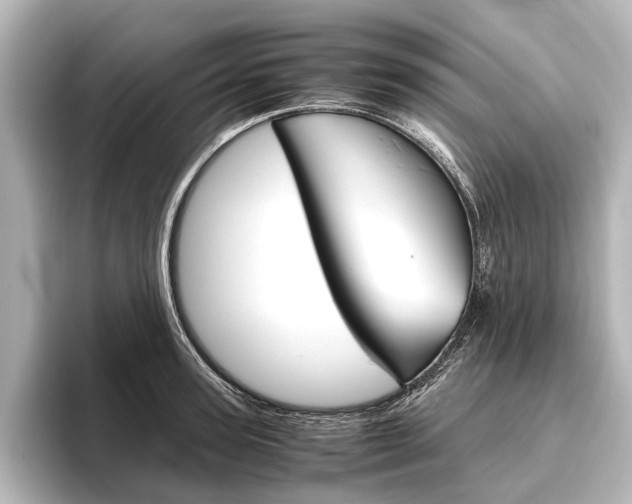 X0000096420947200801241001