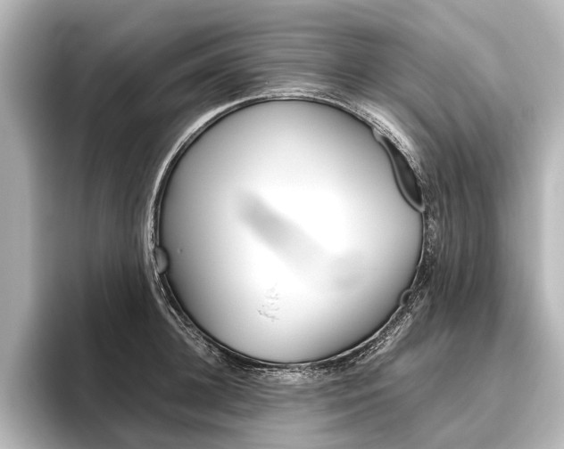 X0000096420948200801241001