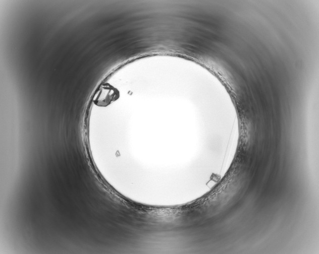 X0000096420950200801241001