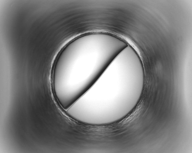 X0000096420951200801241001
