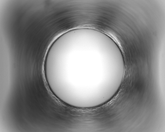 X0000096420952200801241001