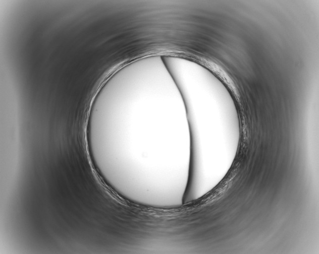 X0000096420954200801241001