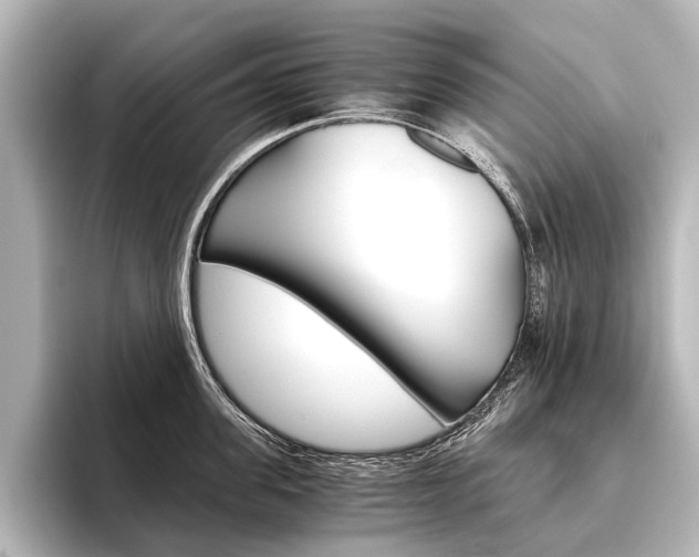 X0000096420955200801241001