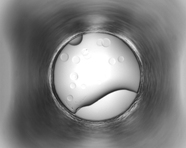 X0000096420957200801241001