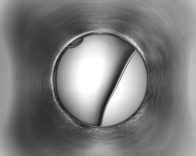 X0000096420959200801241001