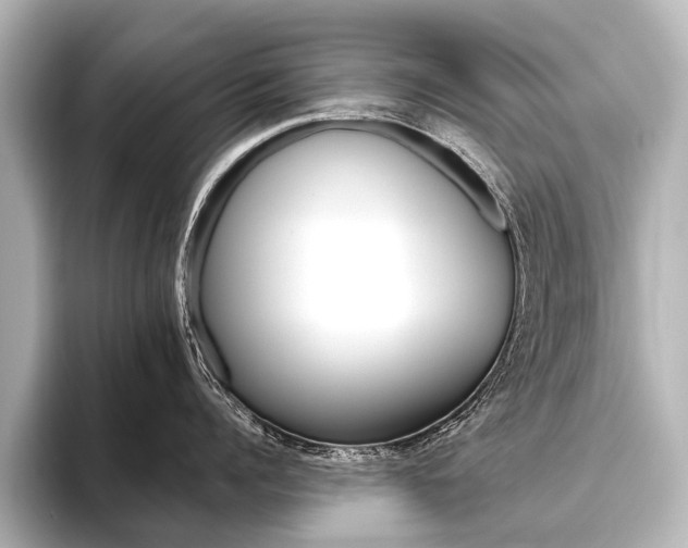 X0000096420960200801241001