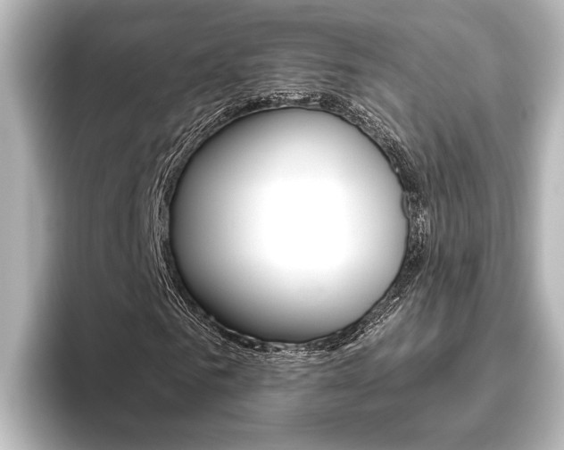 X0000096420961200801241000
