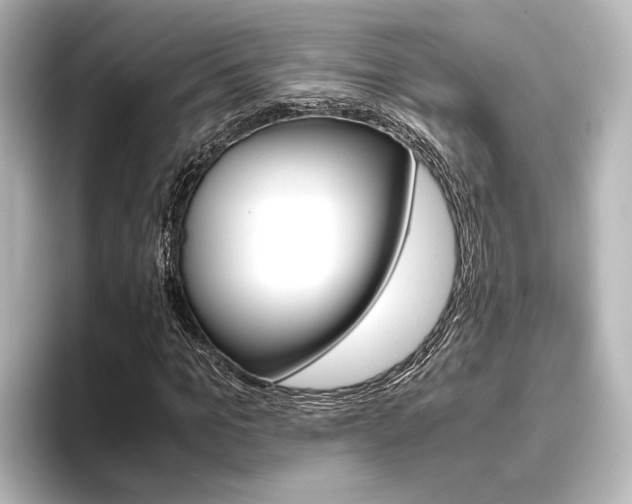 X0000096420965200801241000