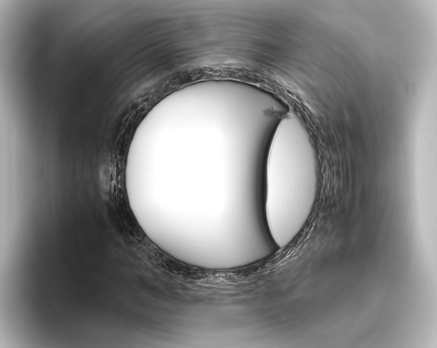 X0000096420966200801241000
