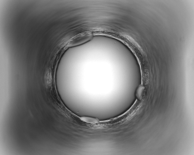 X0000096420969200801241000