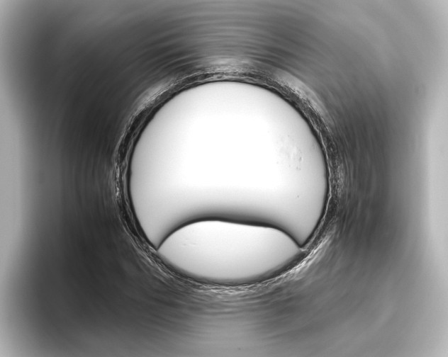 X0000096420970200801241000