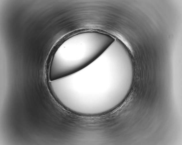 X0000096420972200801241000