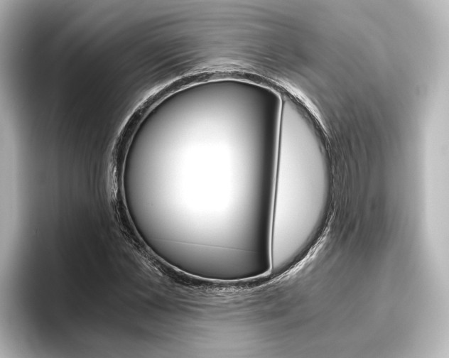X0000096420973200801241000