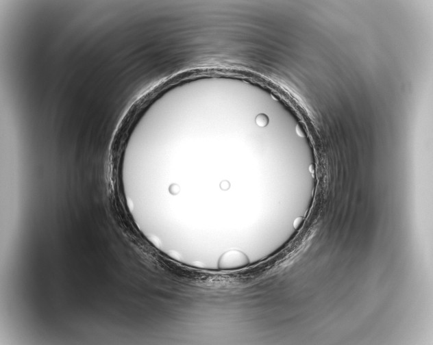 X0000096420974200801241000