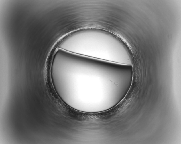X0000096420975200801241000