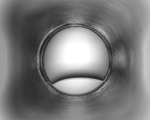 X0000096420976200801241000