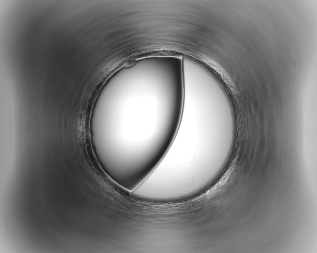 X0000096420977200801241000