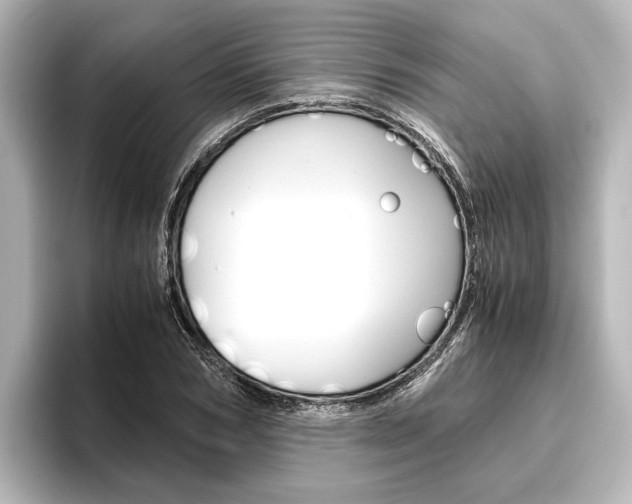 X0000096420978200801241000