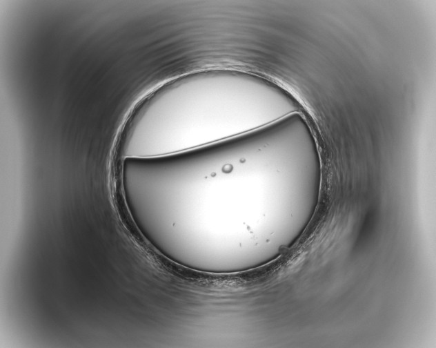 X0000096420979200801241000