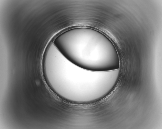 X0000096420980200801241000
