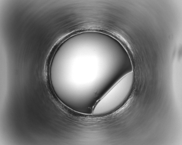 X0000096420981200801241000