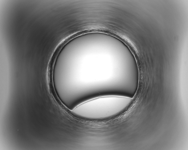 X0000096420983200801241000