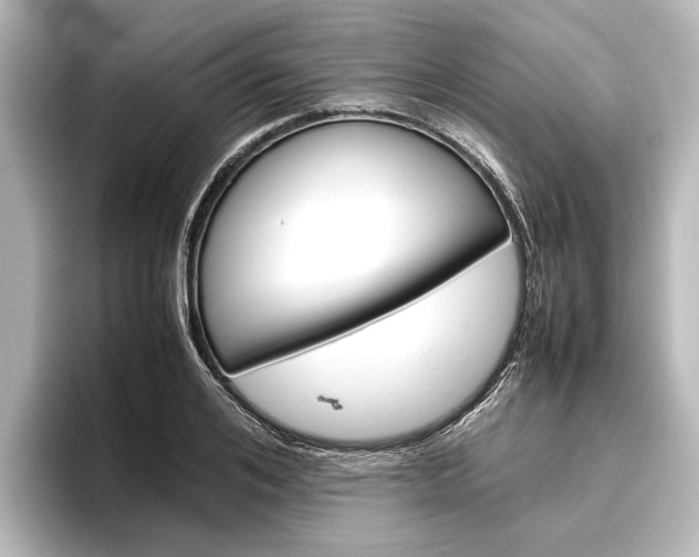 X0000096420984200801241000