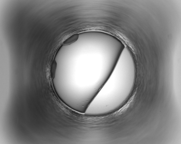 X0000096420985200801241000