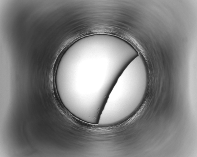 X0000096420986200801241000